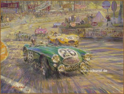 Le Mans 1955 - Austin Healey - NOJ 393