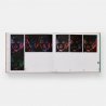 ANDY WARHOL CATALOGUE RAISONNÉ, VOL 6